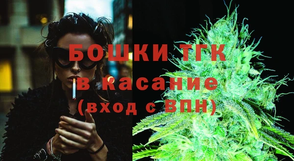 шишки Яранск