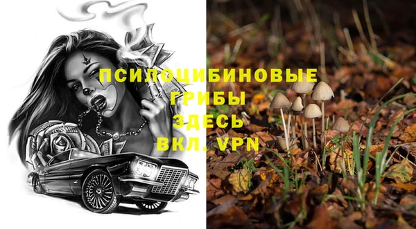 спайс Белоозёрский