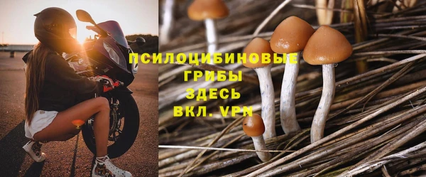 шишки Яранск